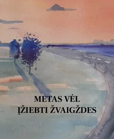 Metas vėl įžiebti žvaigždes viršelis 2 (3)