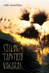 Sielos tapytojo virselis (1)