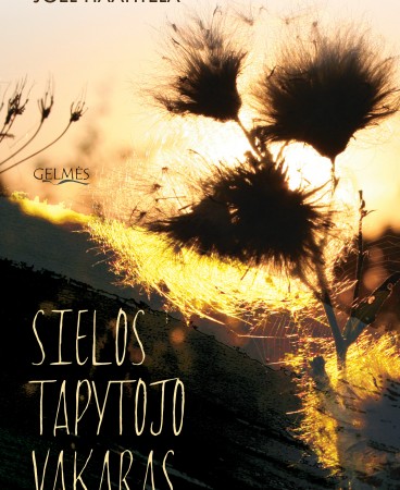 Sielos tapytojo virselis (1)